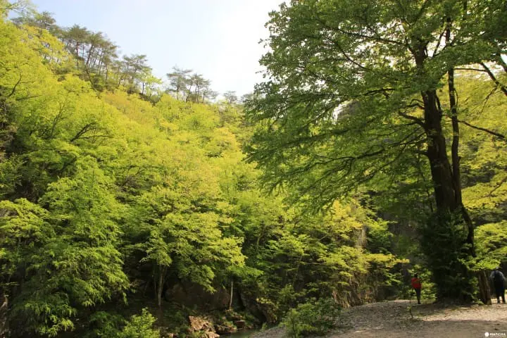 【岩手】日本百景 初游岩手猊鼻溪