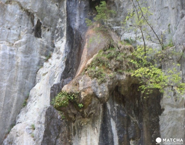 【岩手】日本百景 初游岩手猊鼻溪