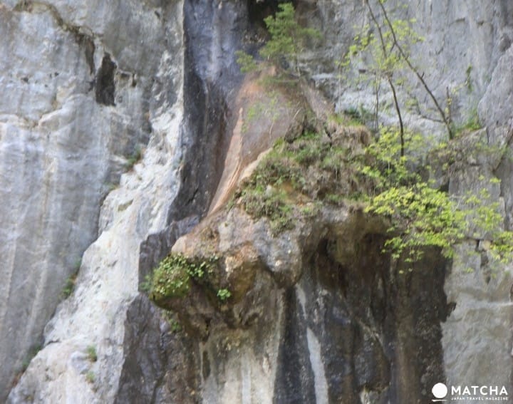 【岩手】日本百景 初遊岩手猊鼻溪