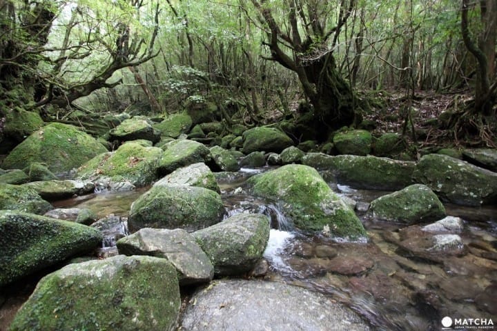 九州景點總懶人包,九州溫泉、美食都在這