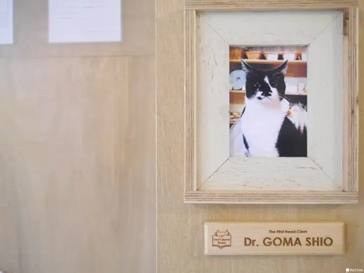 cats meow books 捐款人