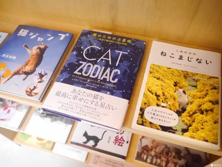 cats meow books 摄影集