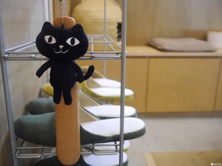 cats meow books 室内