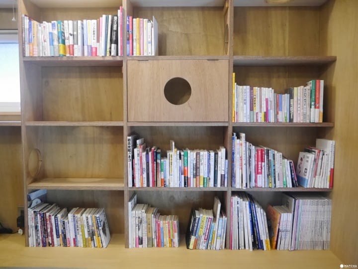 cats meow books 洞