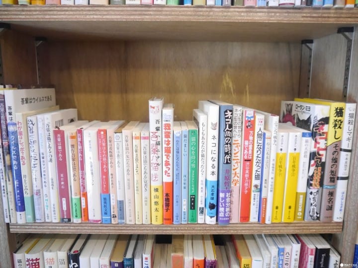 想成為貓的書