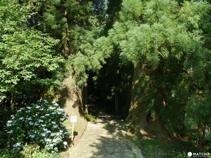 【和歌山】世界遗产熊野三山，“熊野那智大社”与山林间的飞瀑“那智瀑布”