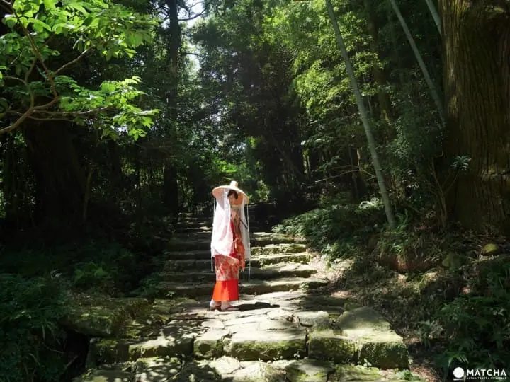 【和歌山】世界遗产熊野三山，“熊野那智大社”与山林间的飞瀑“那智瀑布”