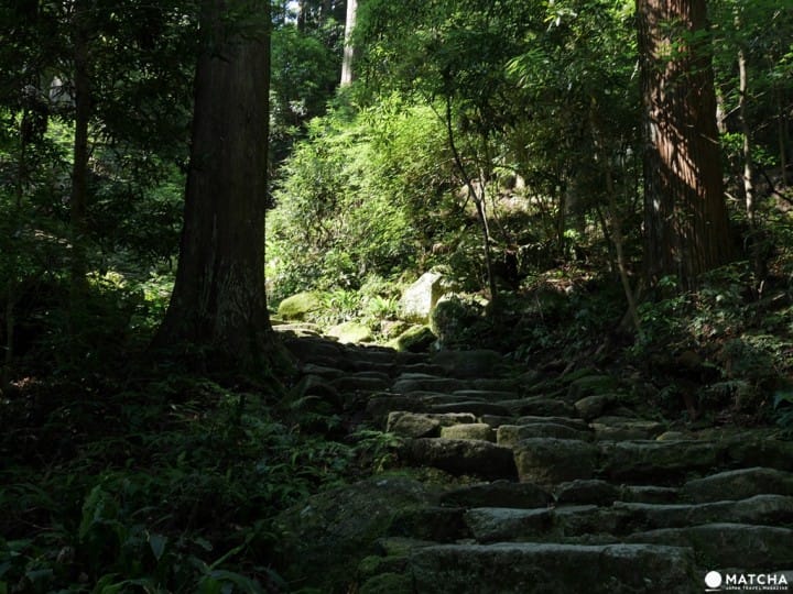 【和歌山】世界遺產熊野三山，「熊野那智大社」與山林間的飛瀑「那智瀑布」