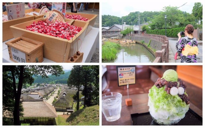 เว็บไซต์รวมแผนเที่ยวโตเกียวและรอบๆ สุดเจ๋ง “STEP INTO GREATER TOKYO” เปิดตัวแล้ว!!