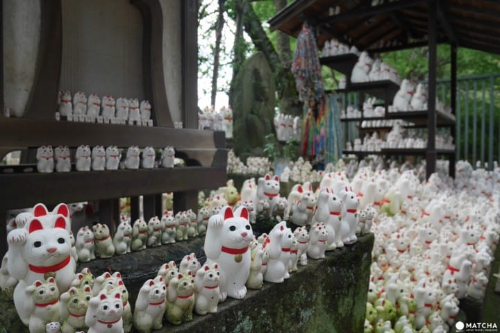 豪德寺