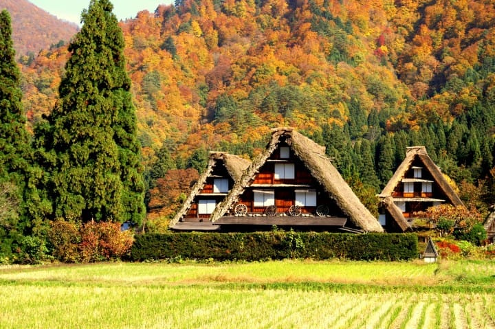 日本東海地方 岐阜白川鄉合掌村