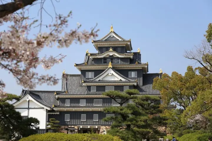 日本東海地方 愛知縣名古屋城