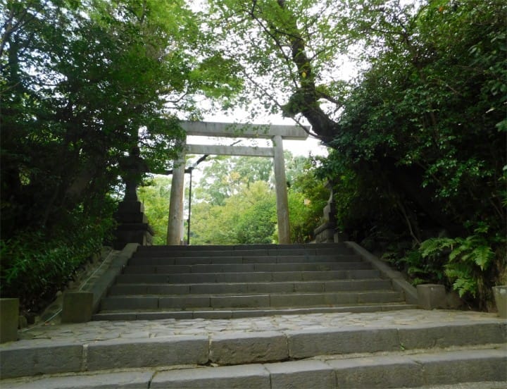 Odawara's Fuma Matsuri: The Ninja Spirit Comes To Life In Kanagawa!