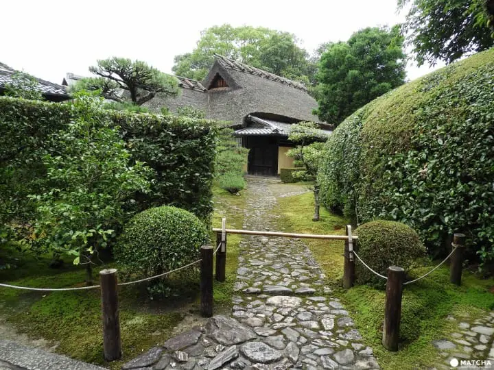 【奈良県】慈光院でお茶のおもてなしと庭園を楽しもう