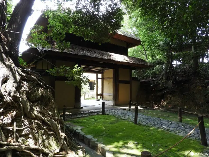 【奈良県】慈光院でお茶のおもてなしと庭園を楽しもう