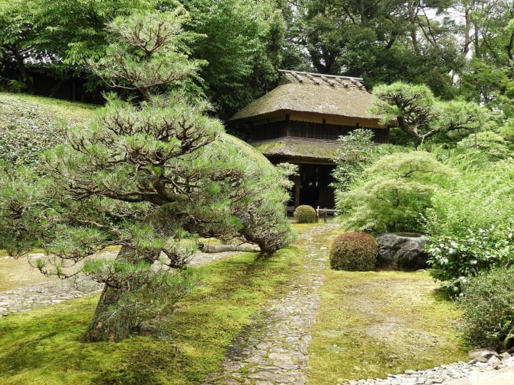 【奈良県】慈光院でお茶のおもてなしと庭園を楽しもう