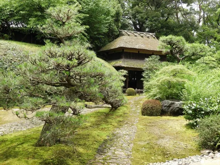 【奈良県】慈光院でお茶のおもてなしと庭園を楽しもう