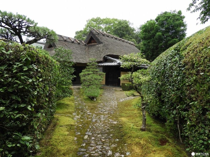 Menikmati Teh Matcha dan Taman Jepang di Kuil Jiko-in, Nara
