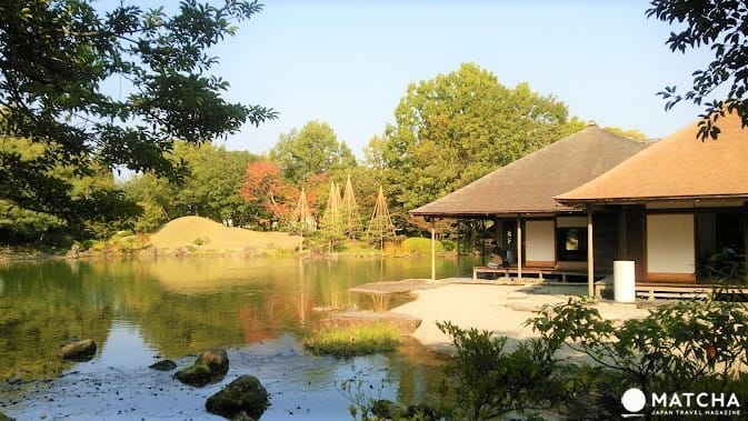 【福井】漫步名勝養浩館庭園,享受江戶藩主的閒情與風雅