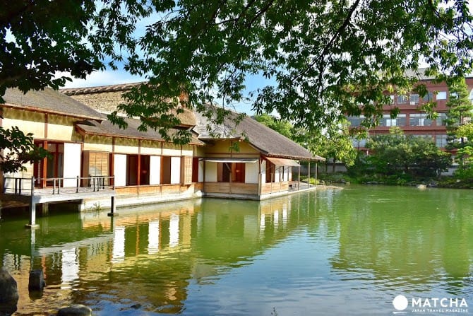 【福井】漫步名勝養浩館庭園,享受江戶藩主的閒情與風雅