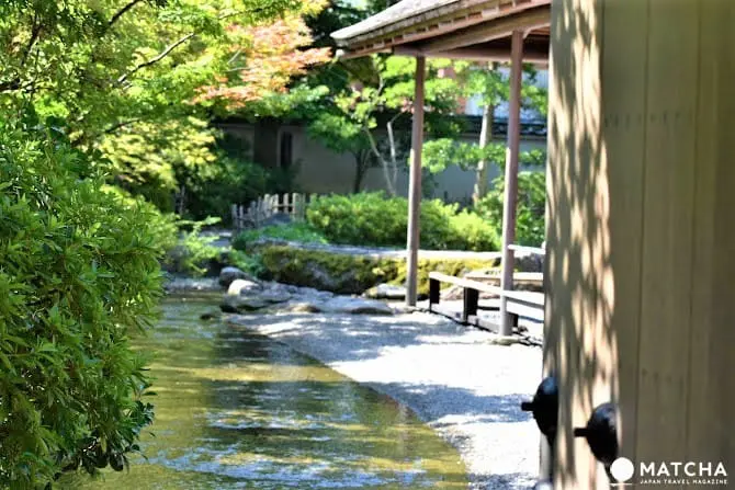 【福井】漫步名勝養浩館庭園，享受江戶藩主的閒情與風雅
