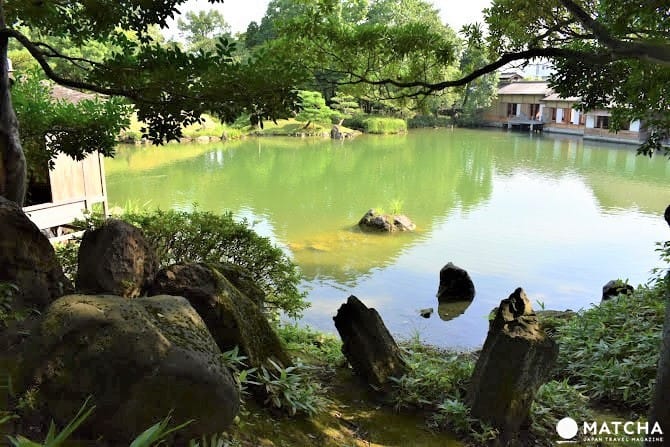 【福井】漫步名勝養浩館庭園,享受江戶藩主的閒情與風雅