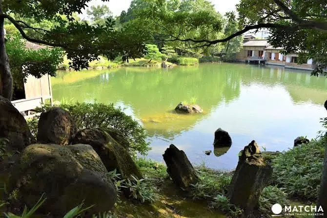 【福井】漫步名勝養浩館庭園，享受江戶藩主的閒情與風雅