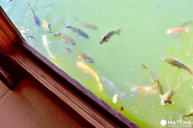 【福井】漫步名勝養浩館庭園，享受江戶藩主的閒情與風雅