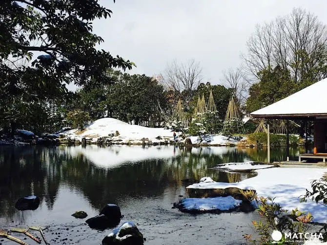 【福井】漫步名勝養浩館庭園，享受江戶藩主的閒情與風雅