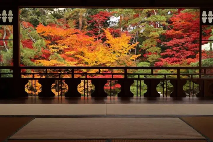 【新潟】豪商の館、旧齋藤家別邸で紅葉を楽しもう