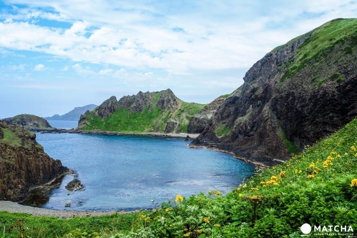 北海道梦幻跳岛夏旅篇:利尻岛、礼文岛景点推荐
