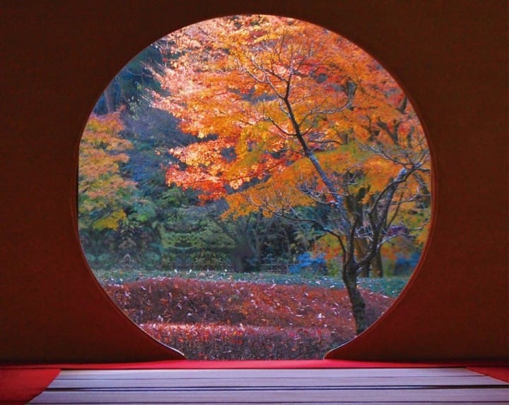 Kamakura's 4 Best Autumn Leaves Spots In 2017 - Temples, Parks And More!