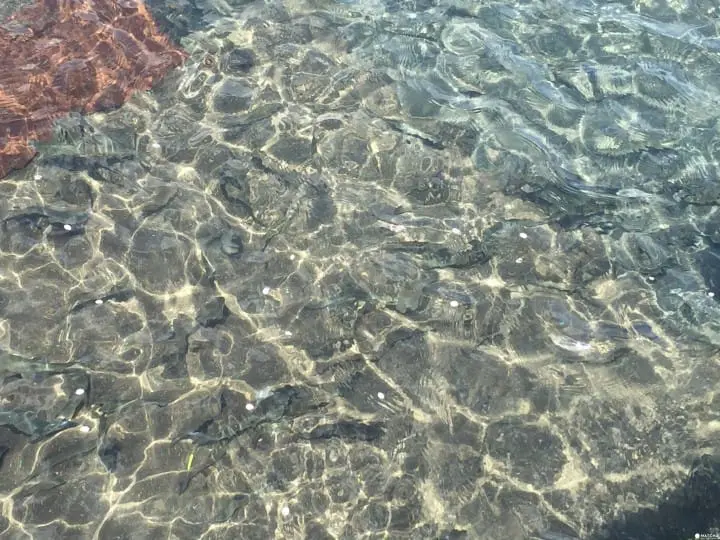 【秋田】秋田秘境溫泉 乳頭溫泉、田沢湖半天散策