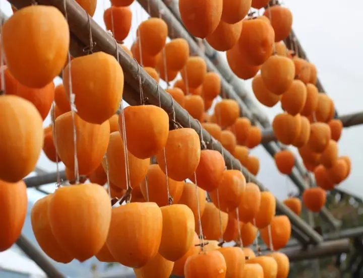 Japan's Autumn Sweets - Traditional Wagashi And Tastes Of The Season