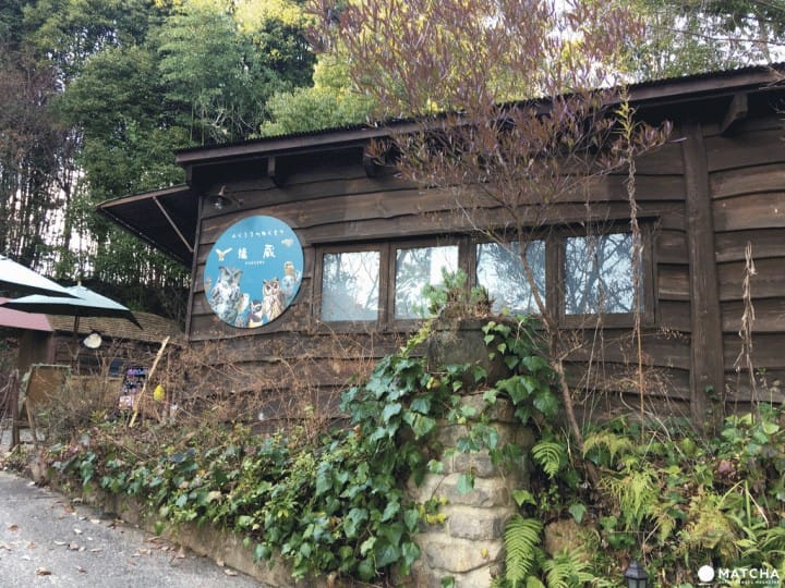 『靜岡浜松』童話世界般的私藏景點-ぬくもりの森