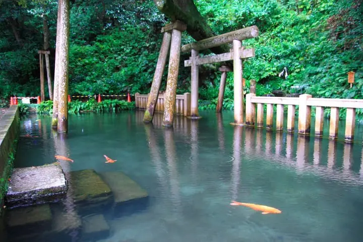 September 1st and 2nd, sacred Jinkosai at Kashima Shrine, Ibaraki