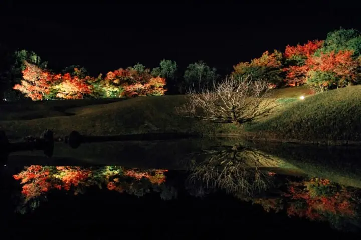 關西賞楓泡湯！神戶有馬溫泉及關西紅葉情報整理