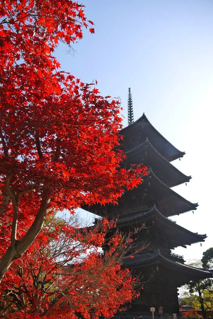 關西賞楓泡湯！神戶有馬溫泉及關西紅葉情報整理
