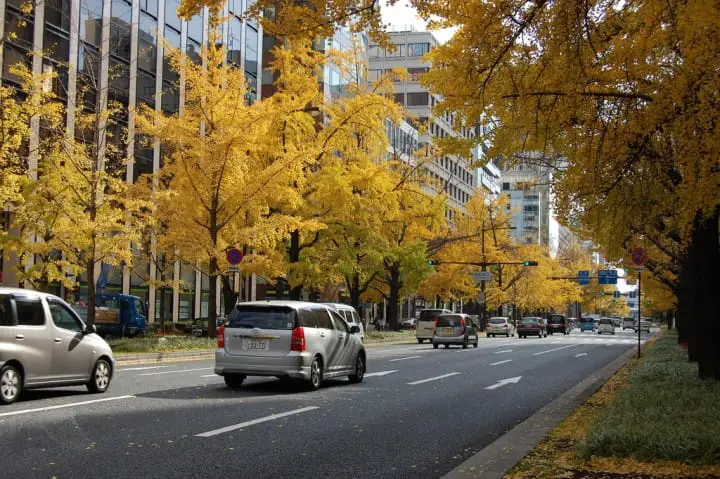 關西賞楓泡湯！神戶有馬溫泉及關西紅葉情報整理