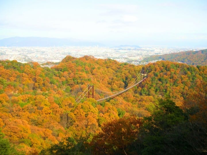 ほしだ園地 關西賞楓泡湯!神戶有馬溫泉及關西紅葉情報整理