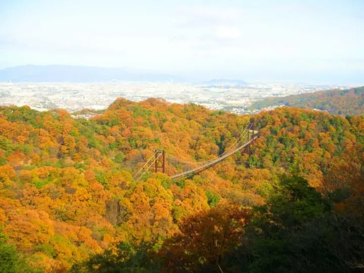 關西賞楓泡湯！神戶有馬溫泉及關西紅葉情報整理