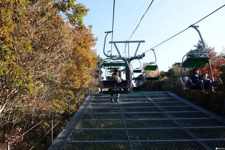 關西賞楓泡湯！神戶有馬溫泉及關西紅葉情報整理