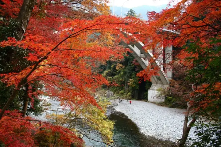 Mitake Valley in fall