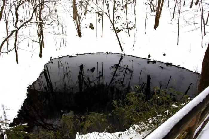 白神山地 十二湖