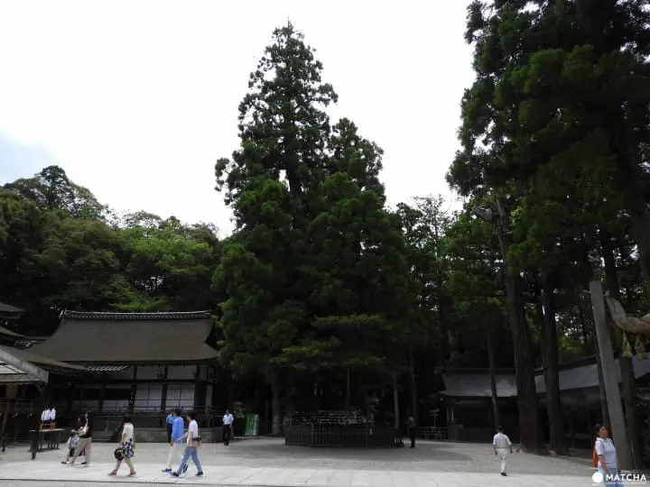 【奈良県】神の宿る三輪山を崇める大神神社