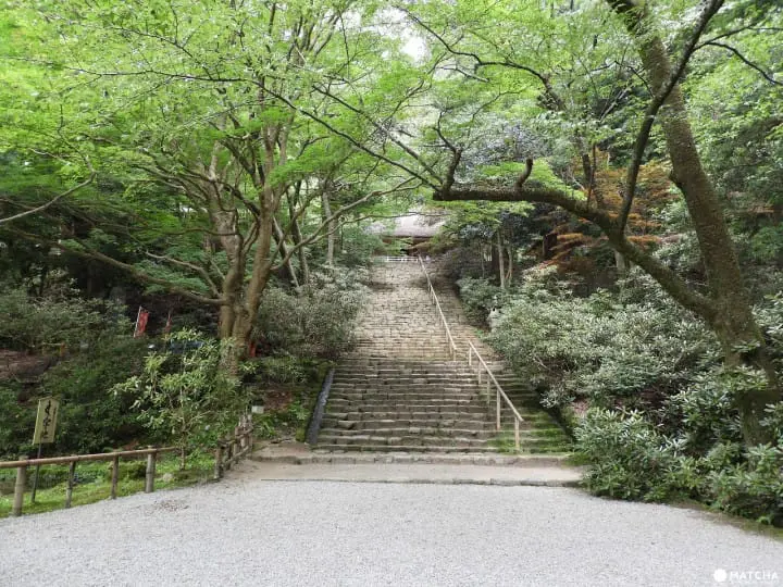 【奈良県】自然と調和した佇まいが美しい室生寺