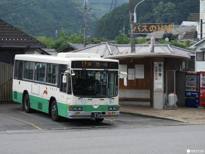 【奈良県】自然と調和した佇まいが美しい室生寺