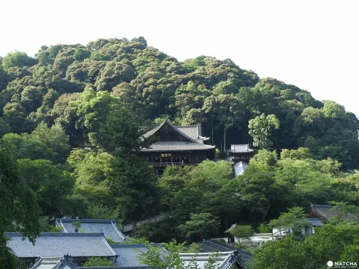 【奈良県】自然と調和した佇まいが美しい室生寺