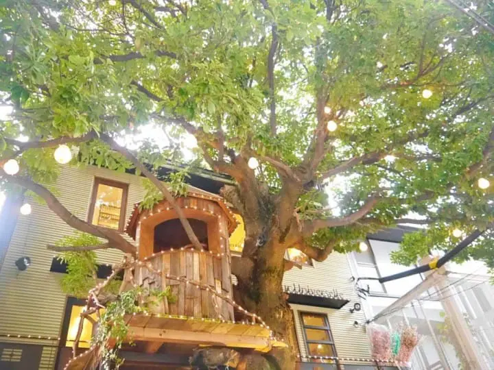 10 Unique Cafes In Tokyo - Where A Coffee Break Becomes An Experience!