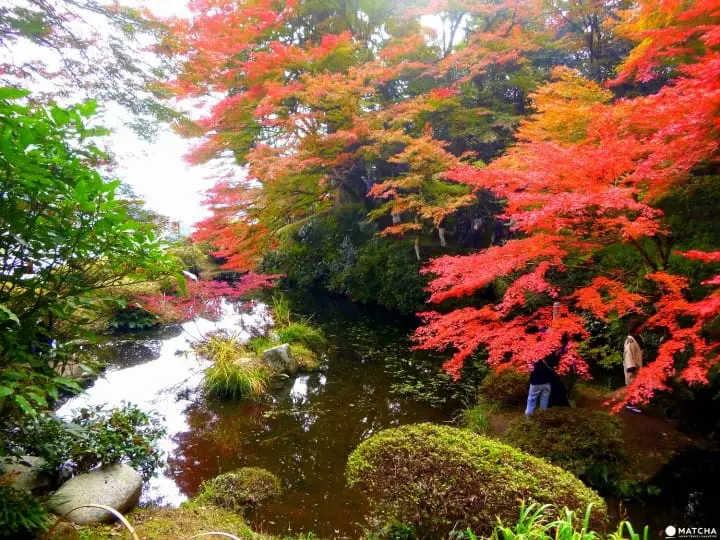 Stunning Autumn Colors In Hiroshima Prefecture You Do Not Want to Miss